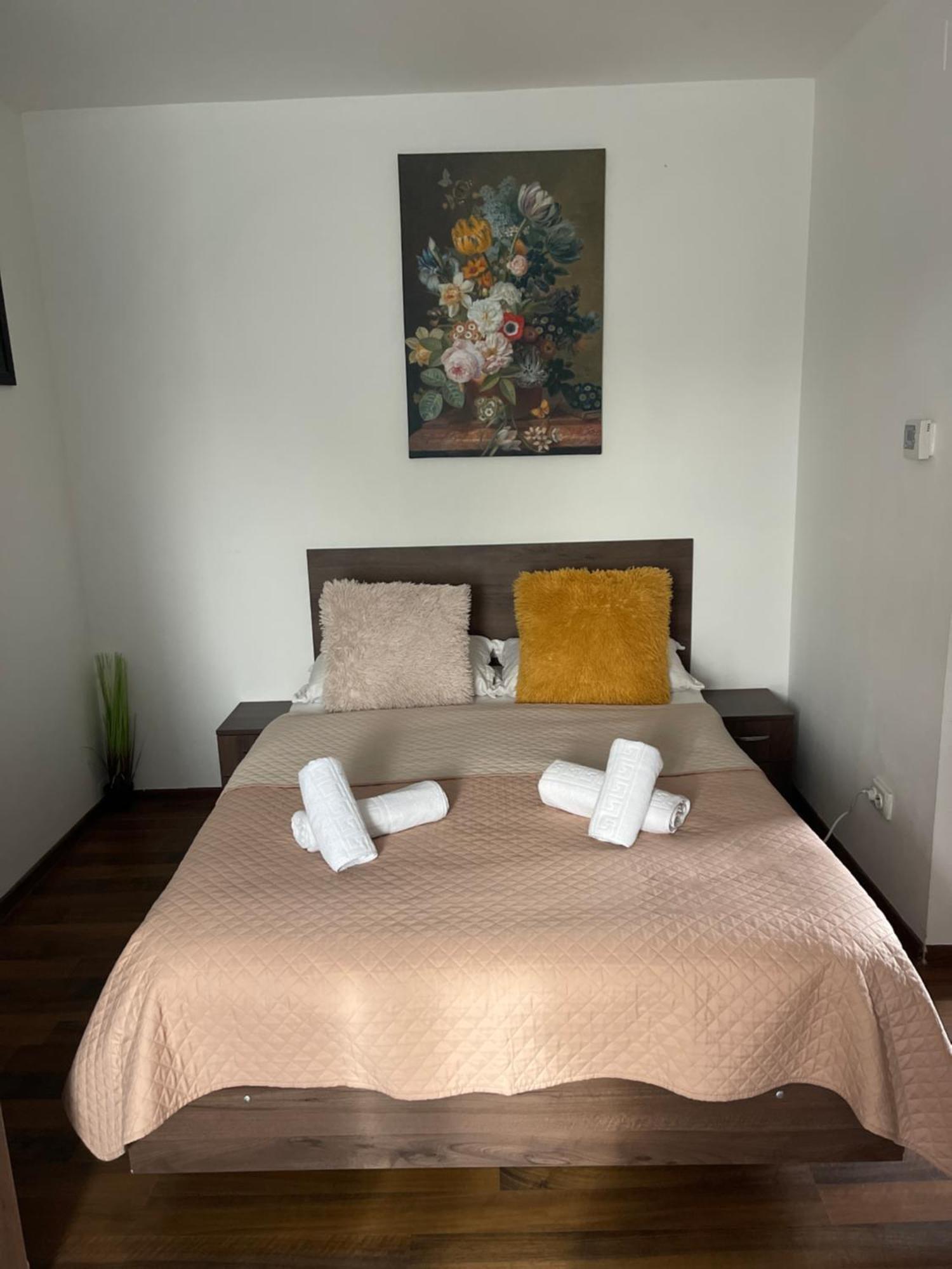 Orange House Apartment Тимишоара Екстериор снимка
