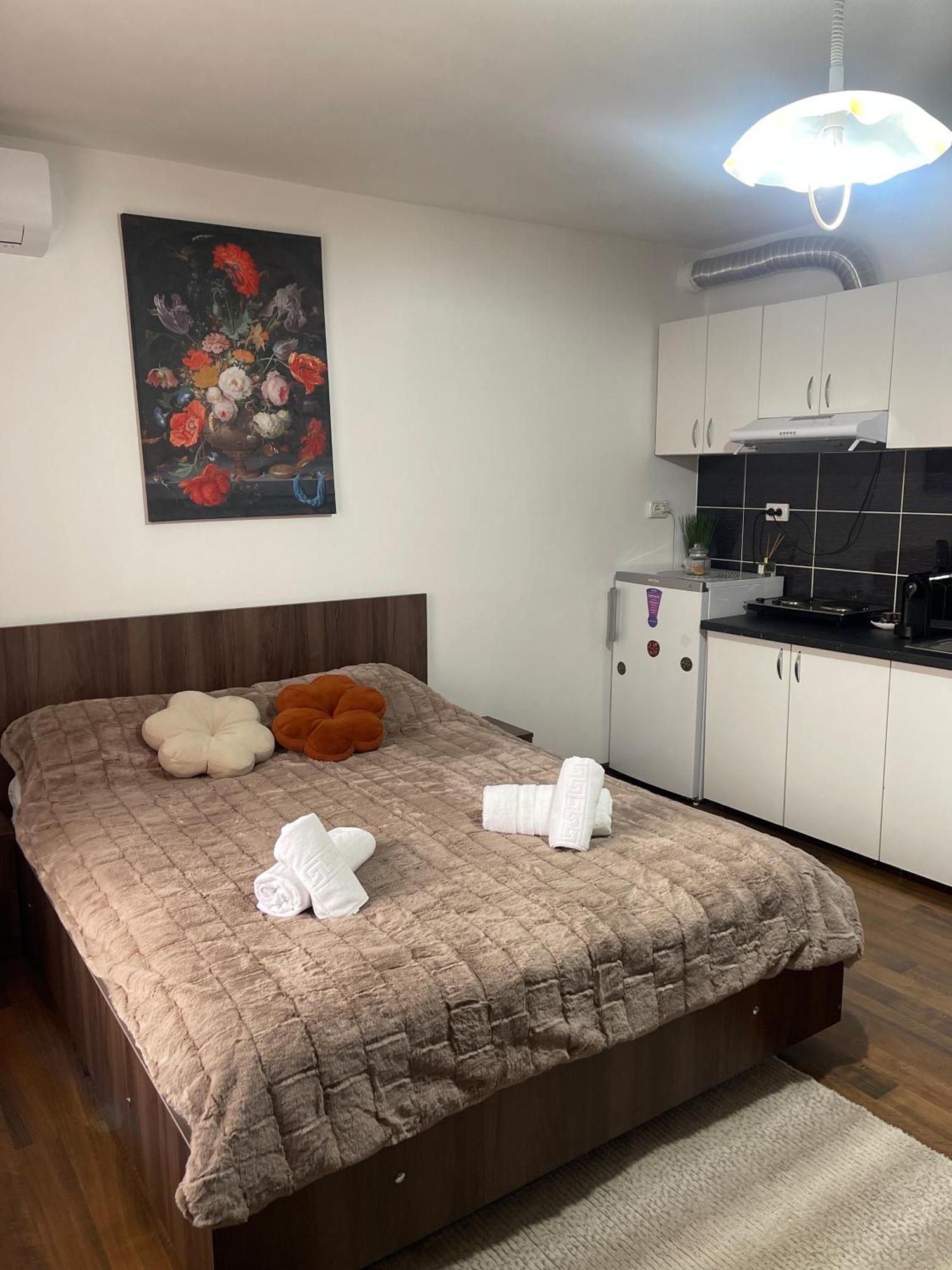 Orange House Apartment Тимишоара Екстериор снимка